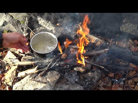 Видео: Поход в лес, приготовил еду на костре #bushcraft  #поход #лес #обед #Кольский #мурманскийтурист