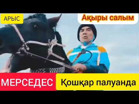 Видео: Оңтүстік жарық,Делеу мырзаның  кокпары 2 күн/Өгіз өлді Темирхан Айтбаев"Кошкар" палуан салды