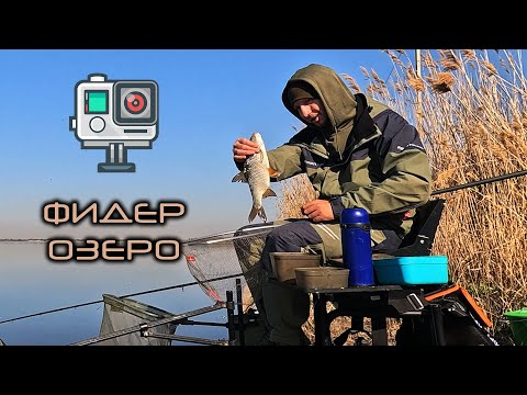 Видео: Классная рыбалка! Фидер на озере!