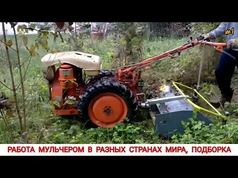 Видео: РАБОТА МУЛЬЧЕРОМ В РАЗНЫХ СТРАНАХ МИРА, ПОДБОРКА #1/MULCHER WORK IN DIFFERENT COUNTRIES OF THE WORLD