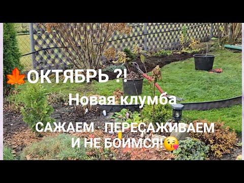 Видео: Новая клумба в зиму! Когда уже мы будем отдыхать?!🤷‍♀️Всё ещё сажаю, пересаживаю!