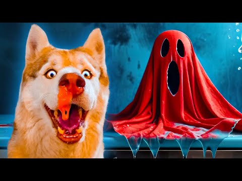 Видео: МОКРАЯ ТРЯПКА ОЖИЛА!!! К#ПЕЕЦ!! (Хаски Бублик) Говорящая собака Mister Booble