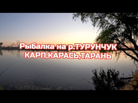 Видео: Рыбалка на р.Турунчук,карп,карась ,тарань .Супер отдых.