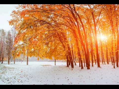 Видео: НАШ  МИР