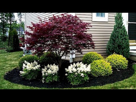 Видео: Створюємо декоративний сад разом#garden 