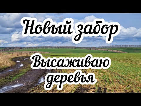 Видео: Новый забор 🏠 Высаживаю деревья 🌳