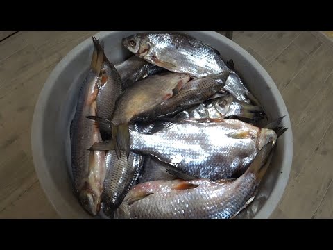 Видео: Сухой Посол Рыбы в Ведре. Самая Вкусная Вяленая Рыба