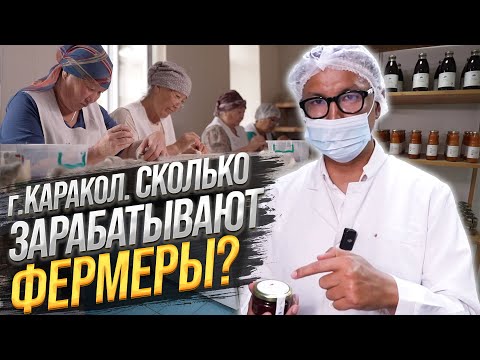 Видео: СКОЛЬКО зарабатывают ФЕРМЕРЫ в Караколе, и КТО им помогает?