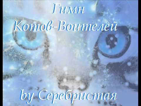 Видео: Гимн Котов Воителей