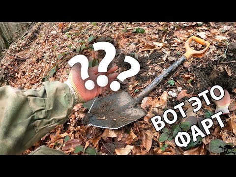 Видео: Крутая находка, она ждала меня 2000 лет. Раскопки в лесу