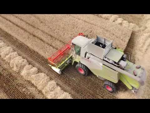 Видео: Жътва, село Доситеево 2022г