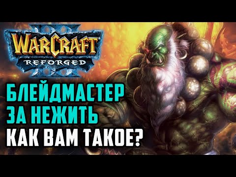 Видео: Блейдмастер за Нежить, как вам такое?: Starbuck (Ne) vs 120 (Ud) Warcraft 3 Reforged