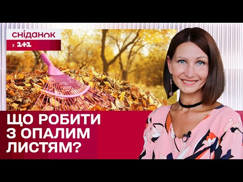 Видео: Користь від опалого листя: як доглядати за садом восени? – Антоніна Лесик