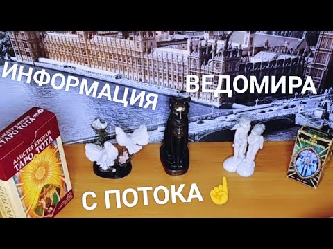Видео: ИНФОРМАЦИЯ С ПОТОКА☝МЫСЛИ🔥 ЧУВСТВА💜ДЕЙСТВИЯ💜🤵‍♂️👰‍♀️💜СОВЕТ ТАРО👁🕊#мысличувствадействия#вераwedomira