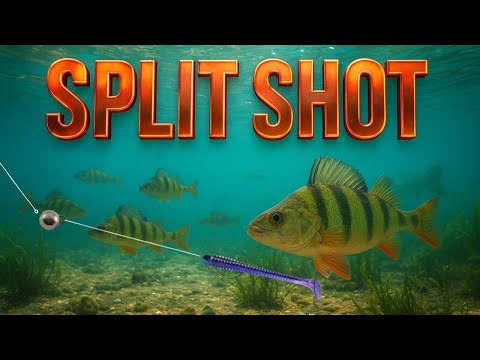 Видео: SPLITSHOT / МОНТАЖ НА ХИЩНИКА / ПОЛНЫЙ ГАЙД / КАК, ГДЕ И КОГДА ЛОВИТЬ?