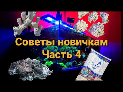 Видео: Советы новичкам. Часть 4