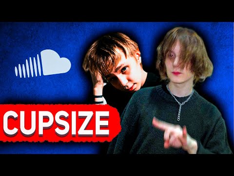 Видео: ПОЯСНЯЮ ЗА ВСЮ КАРЬЕРУ CUPSIZE