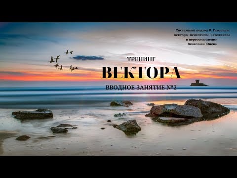 Видео: Вводное занятие №2. Тренинг  "Вектора". Проект Вячеслава Юнева