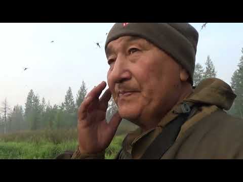 Видео: 19 августа 2024 г.