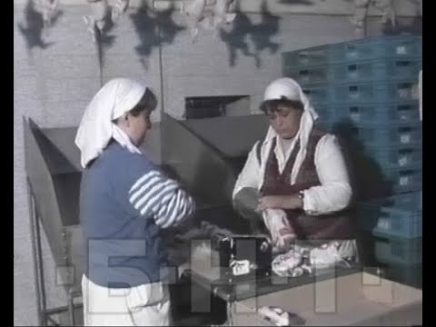 Видео: КОЙ ИМА ИНТЕРЕС ФИРМА "ГАЛУС ИМПЕКС" ДА ФАЛИРА (2003)