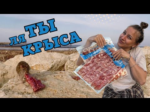 Видео: Как не сойти с ума со скуки в Автодоме! Или Бегемотская бытовуха в Испании!