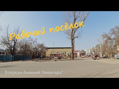 Видео: Рабочий посёлок, г. Алматы, 14 марта 2025 г.