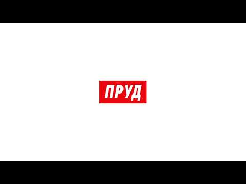 Видео: Пруд - Выбор