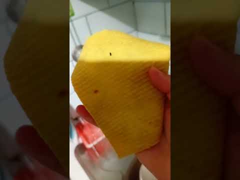 Видео: Завелись мыши..- борюсь. Мы в гостях. Досмотрите до конца - там милота 🤗