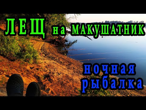 Видео: Лещ на макушатник I Ночная рыбалка на Днепре