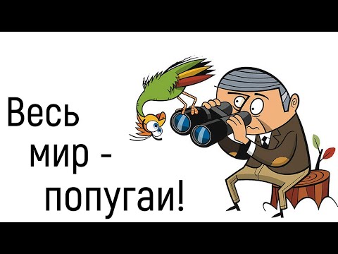 Видео: Искаженное восприятие мира и отношений между людьми. Нарушение объективного отражения реальности.
