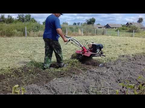 Видео: Запахиваем сидераты фрезами