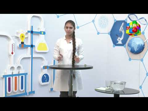 Видео: «Таҷриба» - Об ва киштӣ