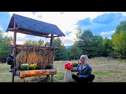 Видео: СЛАДКО НАЧАЛО НА ЕСЕНТА В НАШАТА КЪЩА ИЗВЪН СИСТЕМАТА#влог#есен#autumn#offgird#offgrid#извънграда#