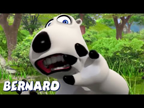 Видео: Бернард |  НАПАДЕНИЕ ПЧЕЛ И МНОГОЕ ДРУГОЕ! | Мультфильмы для детей