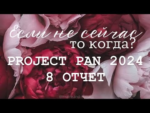 Видео: Бесконечный PROJECT PAN 2024 Отчет 8