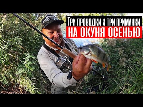 Видео: Три простых проводки и приманки на окуня осенью. Как его точно поймать в сентябре, октябре и ноябре?