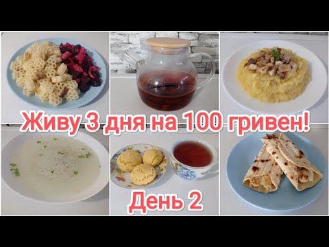 Видео: Живу 3 дня на 100 гривен! День 2