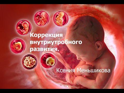 Видео: Коррек­ция внутри­утроб­ного раз­вития. Меньшикова К.Е. (2021)