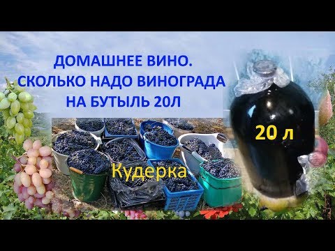 Видео: @Домашнее вино  Сколько надо винограда на бутыль 20л