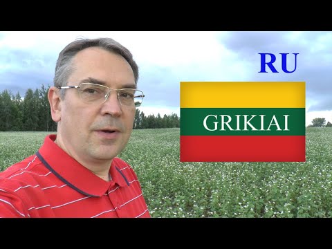 Видео: ЛИТОВСКИЙ ЯЗЫК - 31 УРОК - ГРЕЧИХА - GRIKIAI