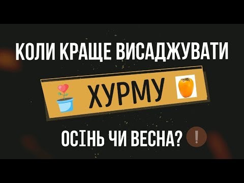 Видео: Результат осінньої посадки! Когда лучше высадживать хурму?