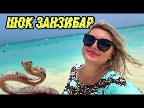 Видео: БЮДЖЕТНО ЗАНЗИБАР НУНГВИ/ ОСТОРОЖНО!!!!!!