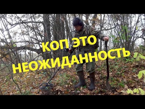 Видео: Чего люди только не теряли в лесу! Коп в осеннем лесу!