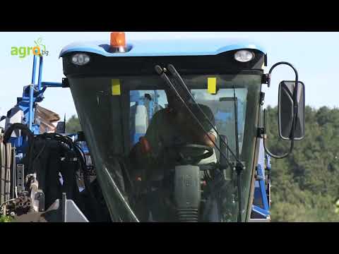 Видео: Илиян Желязков: Лозарството върви надолу