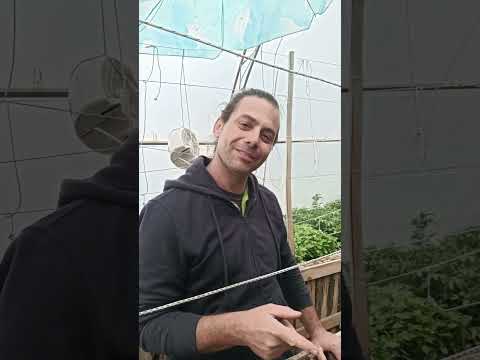 Видео: По правилно е бездействие, от грешно действие в градината.