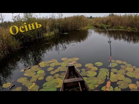 Видео: Щучий вечірній жор на Стоході. Осінь 2023