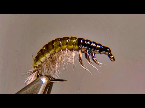 Видео: Оливер Эдвардс завязывает схему личинки мухи-гидропсихе