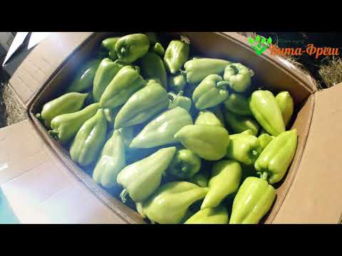 Видео: Первый и второй сбор ПЕРЦА 10-17.05.2020 Вита Фреш