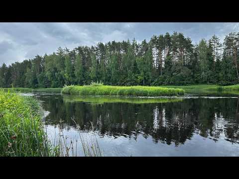 Видео: Что заставляет ехать на рыбалку за 800км? Голавль!