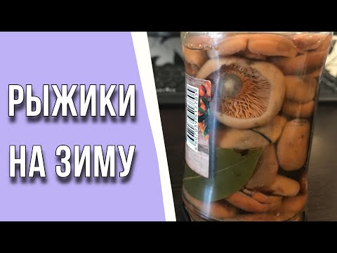Видео: СОЛЕНЫЕ РЫЖИКИ НА ЗИМУ / ПРОСТО, БЫСТРО, ВКУСНО!